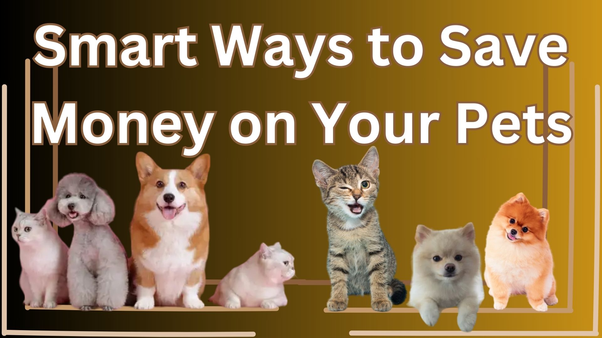 Smart Ways to Save Money on Your Pets